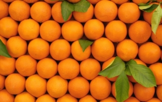 oranges lined up as a healthy snack