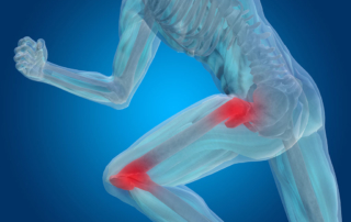 muscle and bones graphic with red spots on the hip and knee that shows using primal 7 in physical therapy