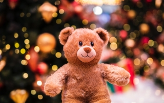 donation for Teddy Bear Toss